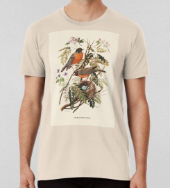 American Robin Antique Naturalist Illustration T-shirt