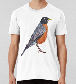 American Robinbird Painting No Background T-shirt